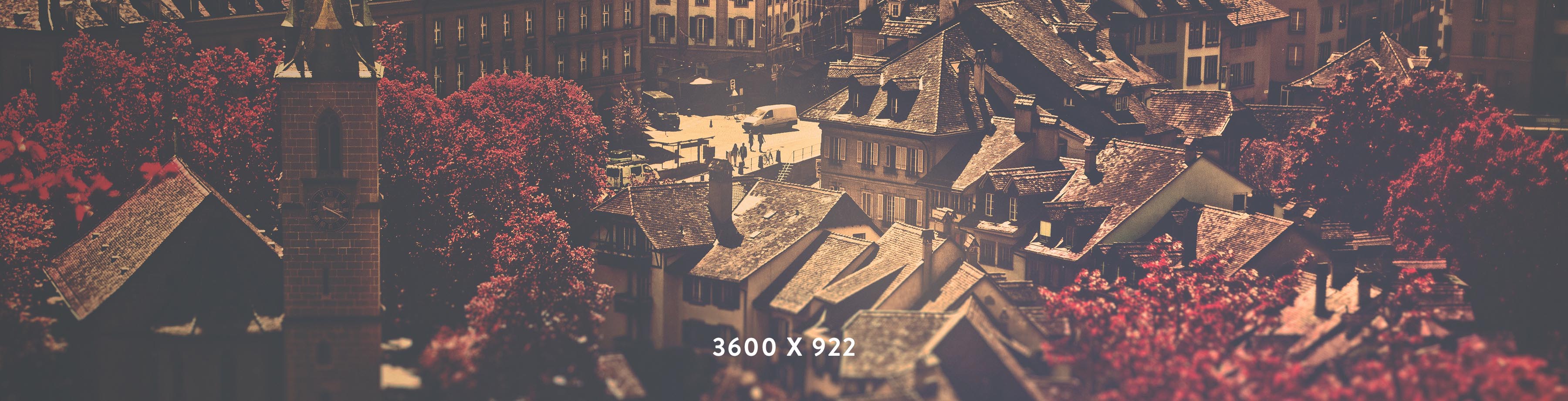 page banner image